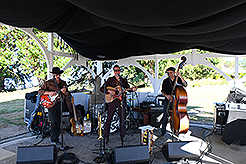 THE SECRET OF SEQUIM